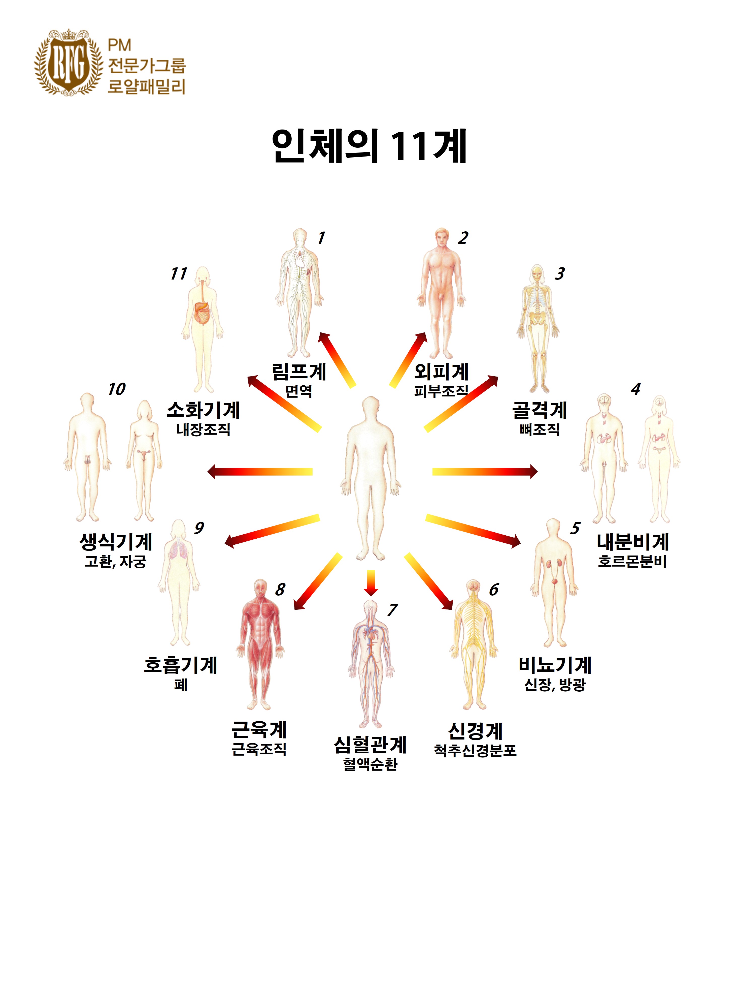 Mobile Version Image