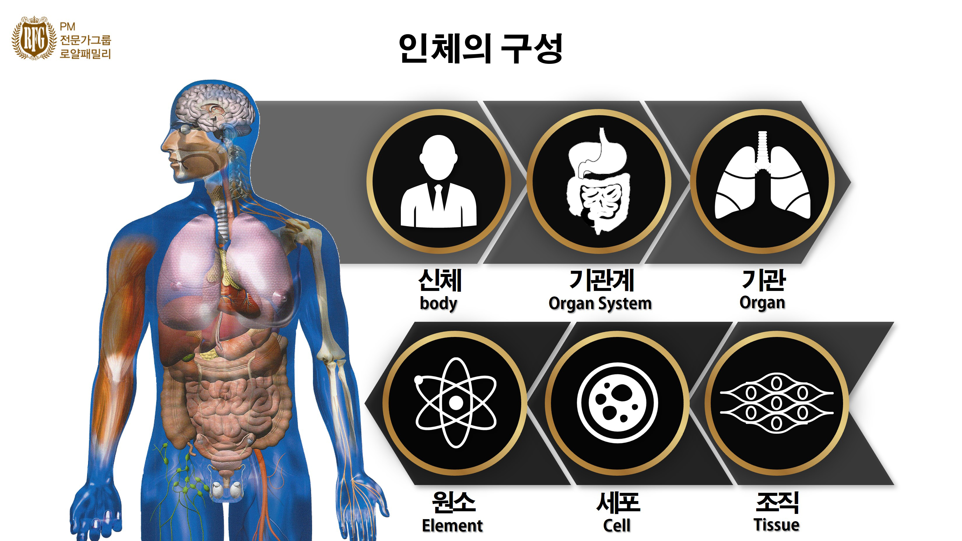 PC Version Image